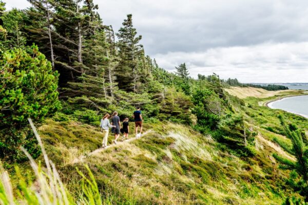 1-dagstur til Venø