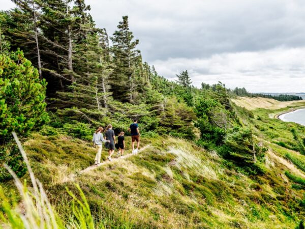 1-dagstur til Venø