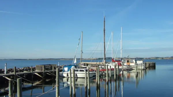 1-dagstur til Venø - Image 3